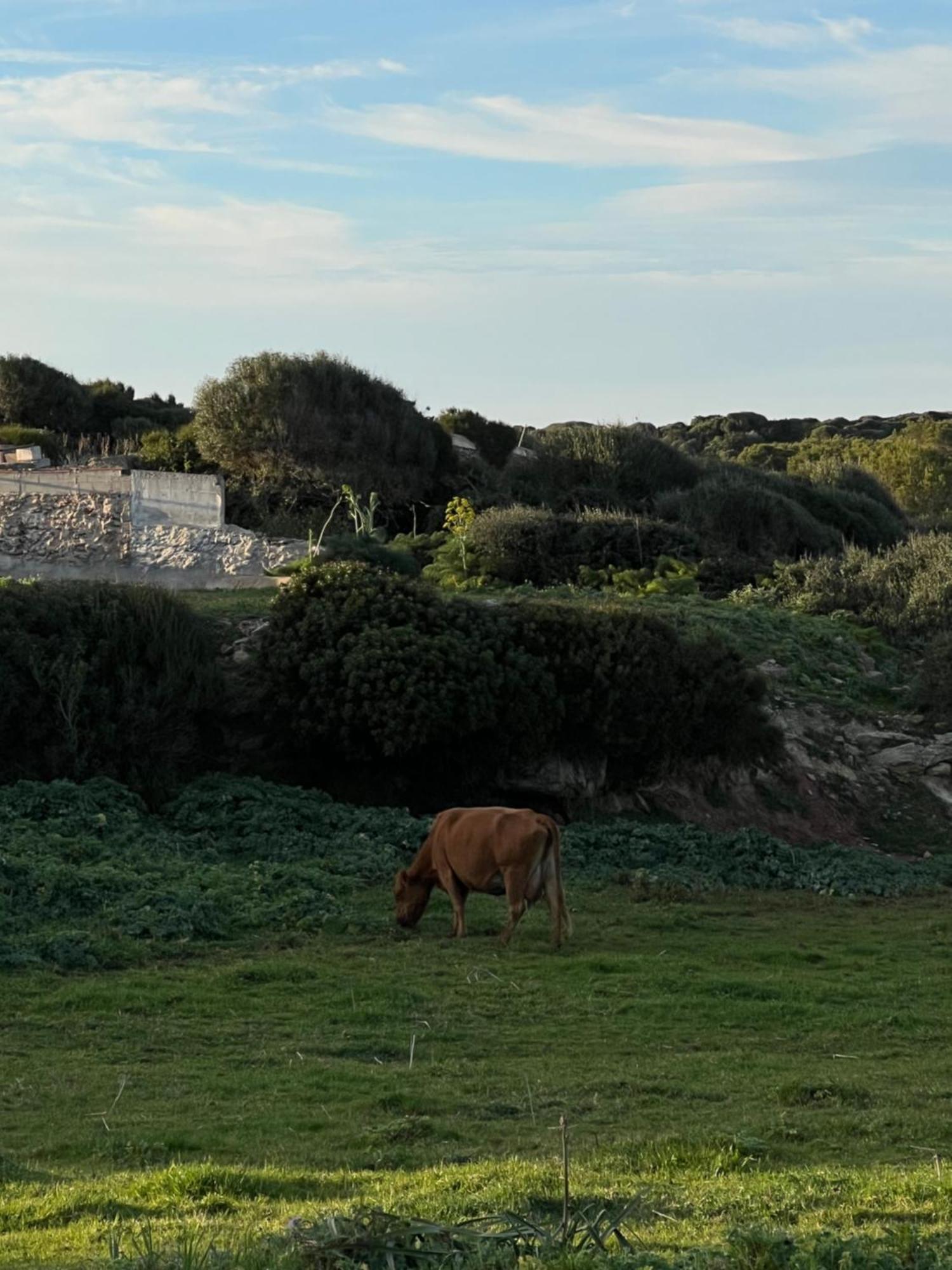 Mongofre Agroturismo Mahón Buitenkant foto